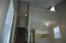 Photo35232